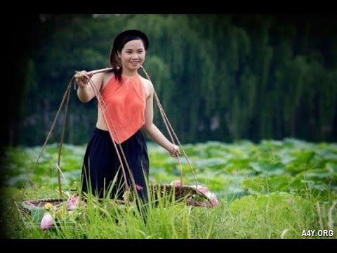Xu hướng