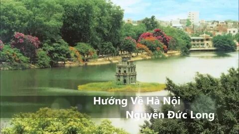 Hotspot Matrix và Những Cú Pháp Mới trong Giao Tiếp Động Vật_Video ngắn YouTube Shorts