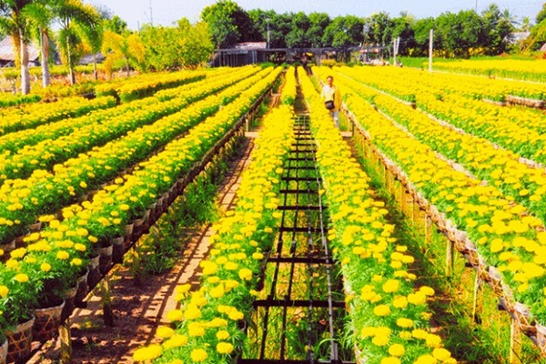 Phụ nữ tuổi này dễ có
