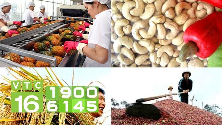 5 kiểu áo dễ