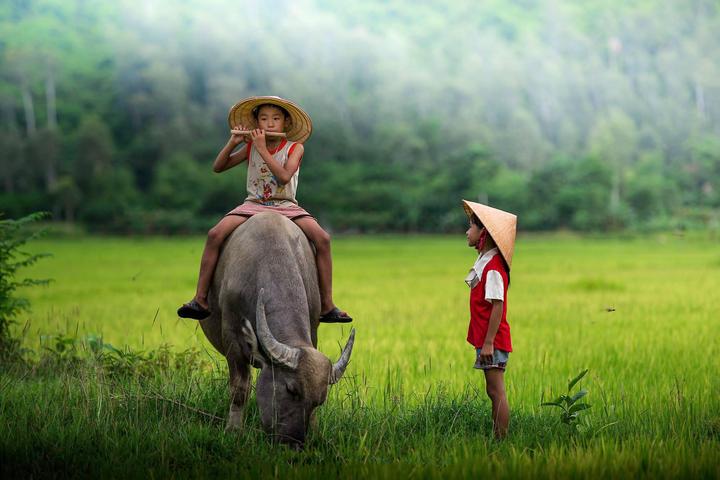 Xu hướng 3 kiểu giày