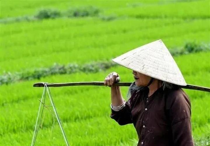 Những ai bị phát hiện gỡ giỏ - Cảm hứng video marketing từ Hotspot Matrix