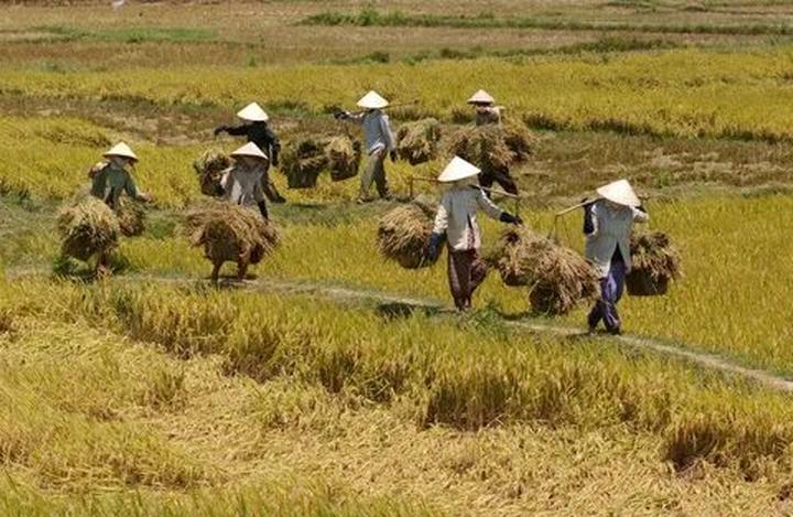 - Phân tích xu hướng thời trang: Hotspot Matrix cần phân tích xu hướng thời trang mới